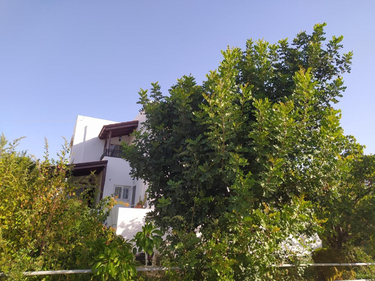 Apartamento Mear Economic Kountoura Selino Exterior foto